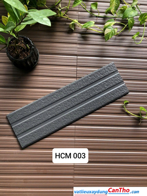 Việt Nhật HCM 003